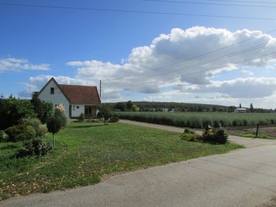 Alter B.weg 72, 46446 Elten-Emmerich